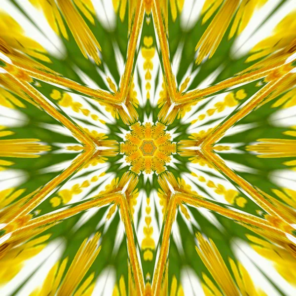 Adorno Caleidoscopio Medieval Escudo Mandala Ornamental Amarillo Verde — Foto de Stock