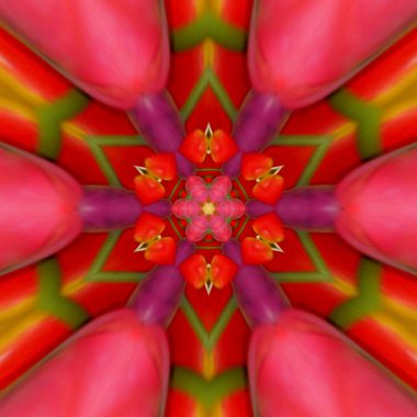 Renkli mandala, kırmızı, yeşil ve turuncu kaleydoskop laleler