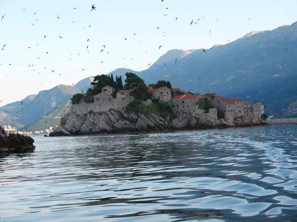 Ünlü Adası Sveti Stefan Budva Yakınındaki Adriyatik Denizi Nde Karadağ — Stok fotoğraf