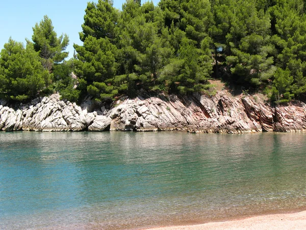 Bonito Paisaje Con Río Roca Pinos — Foto de Stock