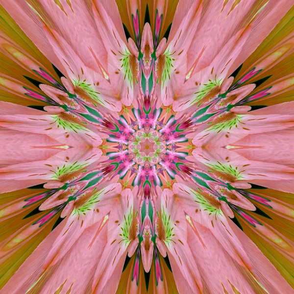 Fond Kaléidoscope Fleur Rose — Photo