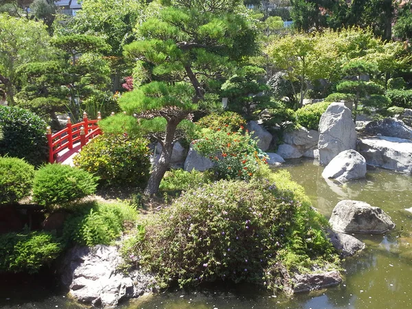 japanese garden in Monaco near Mediterranean sea, green water with stones