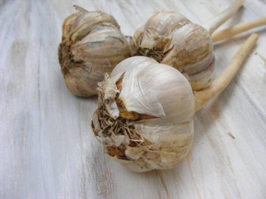 Eski püskü arka plan üzerinde beyaz sarımsak yakın çekim