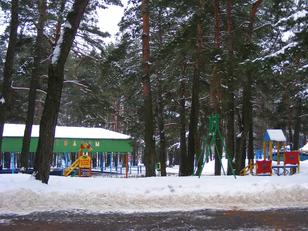 Neve Cobriu Atração Das Crianças Parque Inverno — Fotografia de Stock