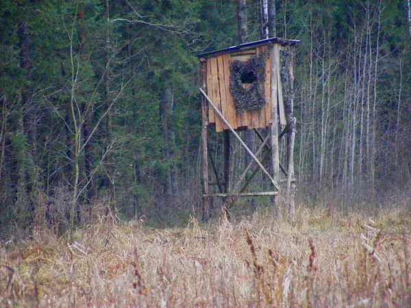 Torre Caza Madera Bosque — Foto de Stock