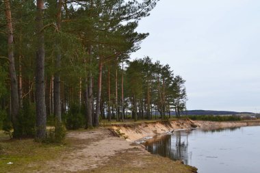 Doğal peyzaj sahne. Orman ve nehir panoramik bahar.