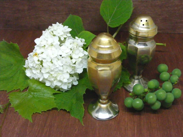 Composition Vintage Salt Pepper Shaker Green Grapes Flower Brown Table — Stock Photo, Image