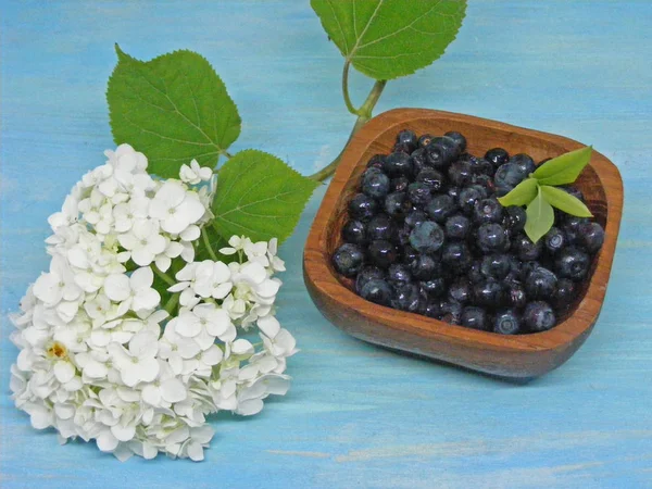 Bleuet Sain Sur Table Bois Bleu Avec Des Fleurs Blanches — Photo