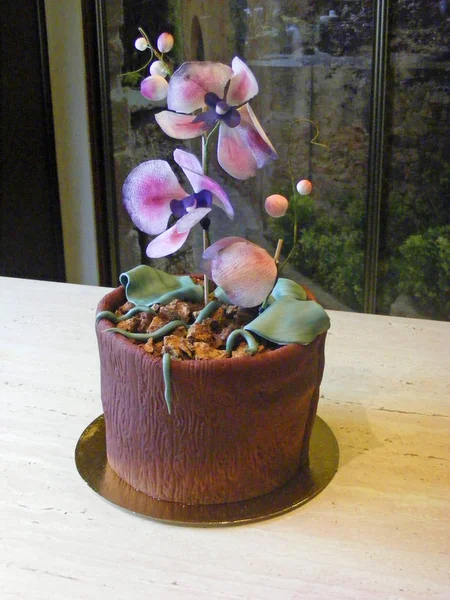 Pastel Fondant Orquídea Cerca — Foto de Stock