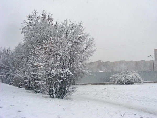 Paysage Van Stad Sneeuw — Stockfoto