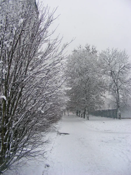 Staden Snö Vinterdag — Stockfoto