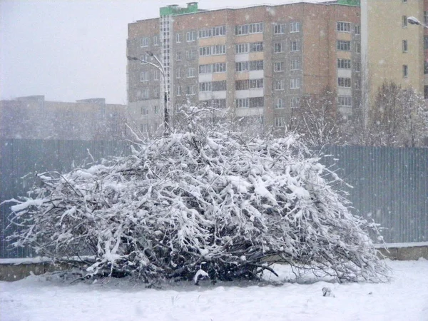 Vinter Staden Landcsape — Stockfoto