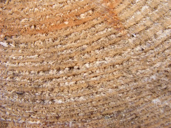Dřevo Řezané Textury Detailní Záběr — Stock fotografie