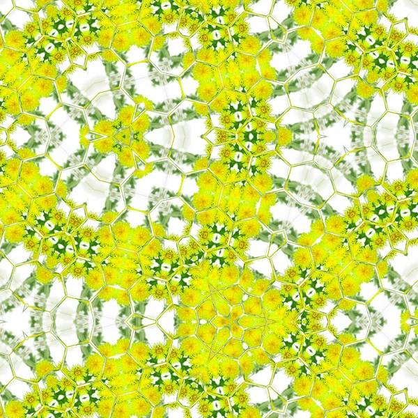 Heřmánek květ kaleidoskop vzor — Stock fotografie