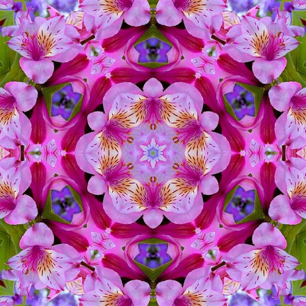Квітковий калейдоскоп любовний картковий фон — стокове фото
