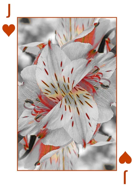 Pokerové Hrací Karty Červený Květ — Stock fotografie