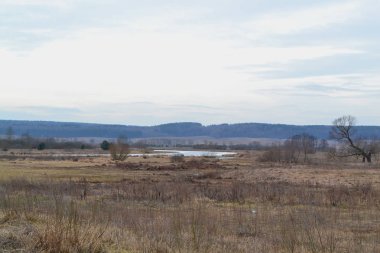 Kuru Çim ve kuru ağaç şube kavramı. Sahne düşüşü. Gökyüzü bulutları. Nehir ile Belarus peyzaj