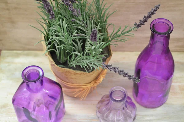 Packaging with lavender. Natural herbal medicine. Medicine concept.