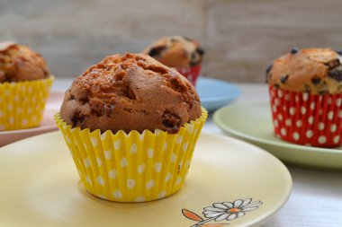 Taze pişmiş ev yapımı cupcakes renkli tabaklar üzerinde yakın