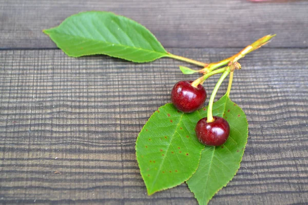 Cherry Filial Med Grönt Blad Hälsosam Mat Färsk Frukt Två — Stockfoto