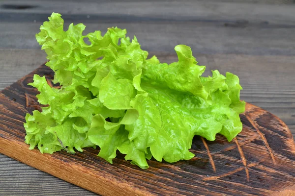 サラダガーデンで育つ緑色のゆるい葉のレタス まな板のバタビアサラダ — ストック写真