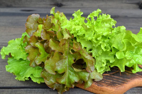 Fresh leaves of salade: green iceberg salad, lettuce oakleaf, batavia mixed