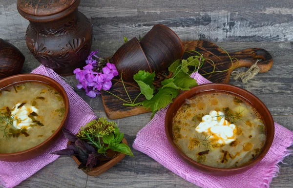 キャベツスープ 伝統的なロシア料理 トップビュー — ストック写真