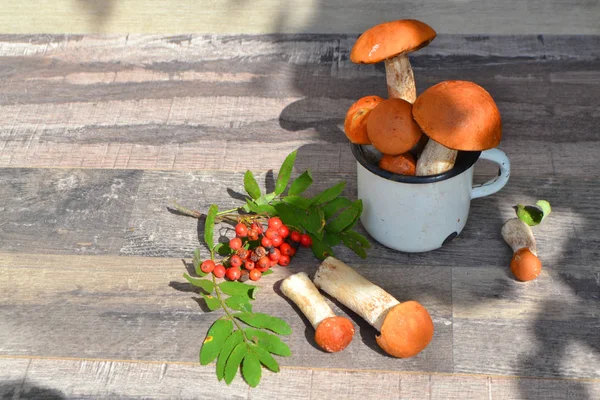 Carta Cucina Russa Regali Foresta Autunno Funghi Bacche Sorbo Tavolo — Foto Stock