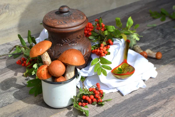 Rustic Cuisine Ceramic Jug Red Capped Scaber Stalk Orange Cap — Stock Photo, Image