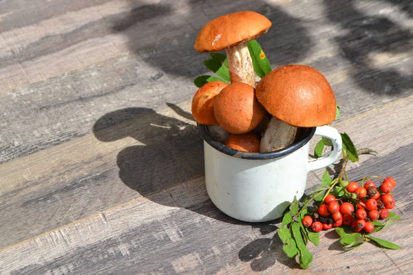 Vegetarian eco-friendly food. Gifts of the russian forest, orange and red cup boletus