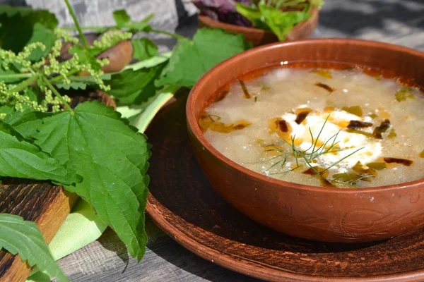 Spring vegetable soup with nettle in rustic bowl — Stock Image Spring Vegetable Soup Nettle Rustic Bowl Stock Image