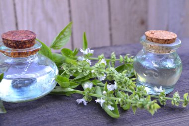 Yeşil çiçekaçan fesleğen demet ile kokulu fesleğen uçucu yağ ahşap bir masa üzerinde şişeler kadar yakın.