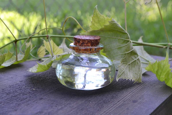 Barco Salsa Con Aceite Semilla Uva Mesa Rústica Jardín — Foto de Stock