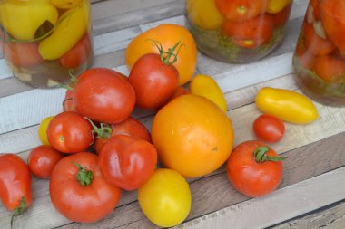 Rustik masada çeşitli domates. Renkli domates - kırmızı, sarı ve turuncu