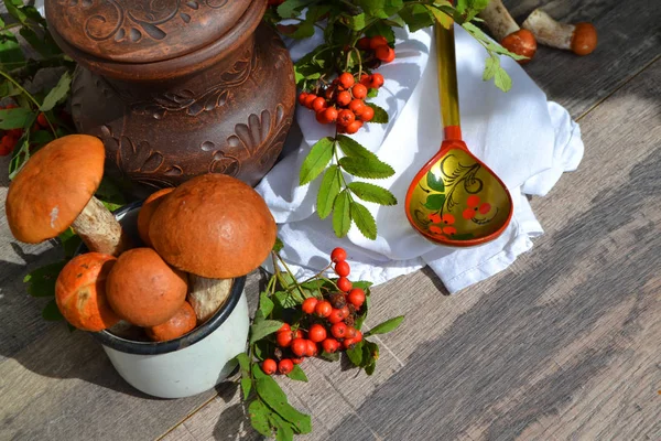 Delicious Russian Wild Mushrooms Forest Red Caps Ceramic Jug Spoon — Stock Photo, Image