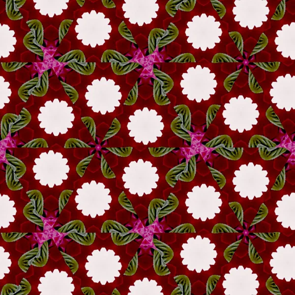 Sechseck Linie Stil Stern Und Blumen Muster — Stockfoto