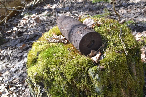 Artillerie rouillée whizzbang haut explosif de la Seconde Guerre mondiale sur souche dans la forêt fourragère de Biélorussie, concept de danger, vieux whizbang — Photo