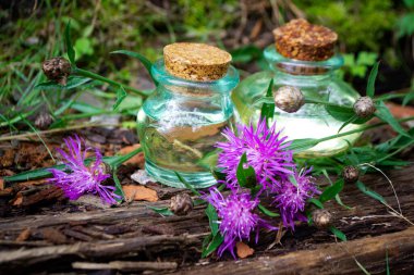 Centaurea Jacea çiçeğinin esansı içinde yabani bitkilerle dolu cam şişeler.
