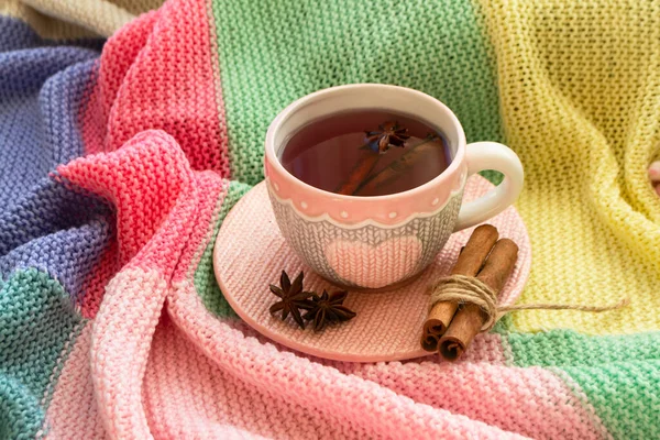 Chá quente de inverno com especiarias, canela e anis em xadrez colorido de malha — Fotografia de Stock