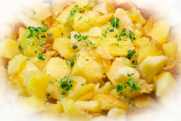 Aardappelgratin of aardappelkugel. Bak met kaas, basilicum en aardappelen van dichtbij bekijk gestructureerd oppervlak. — Stockfoto