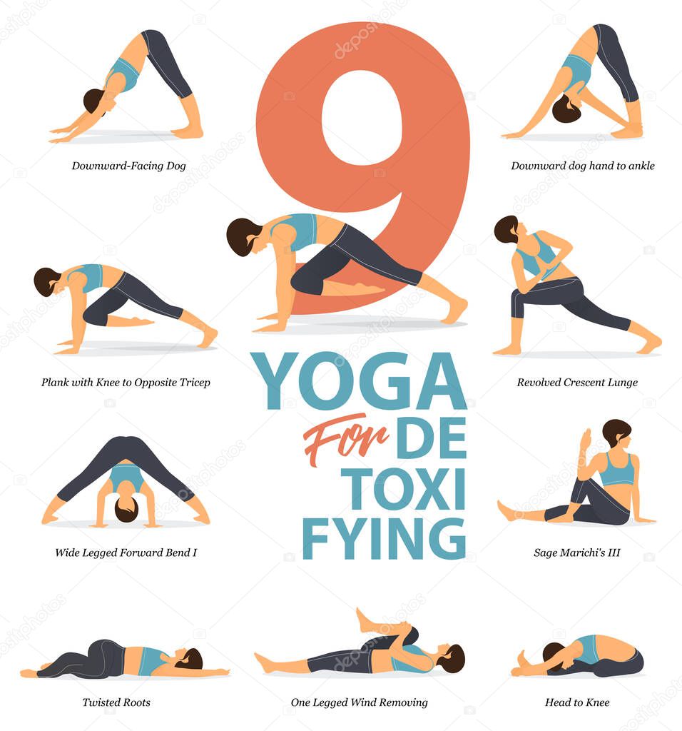 Infographic of 9 Yoga poses for yoga at home in concept of detoxifying in flat design. Woman exercising for body stretching. Yoga posture or asana for fitness infographic. Flat Cartoon Vector Illustration.