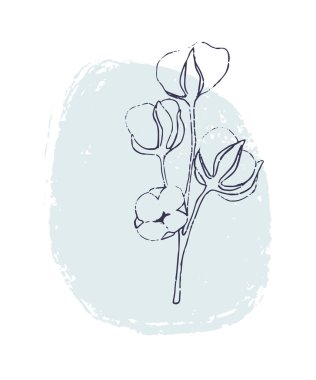 Pamuklu vektör el çizimi bileşimi