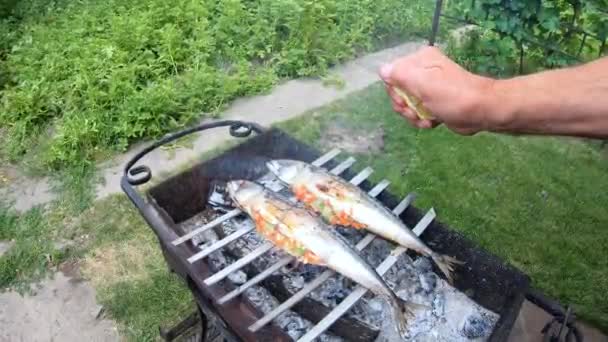 Ο άνθρωπος ψεκάζοντας σκουμπρί με χυμό λεμονιού στη σχάρα. Μαγείρεμα ψαριών στην ανοιχτή φωτιά — Αρχείο Βίντεο