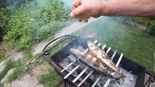 男はサバにレモン汁をまき散らしている。暖炉の上で魚を調理 — ストック動画