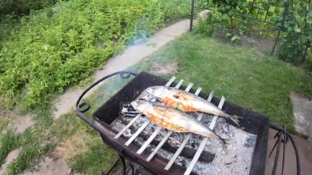 Ο άνθρωπος ψεκάζοντας σκουμπρί με χυμό λεμονιού στη σχάρα. Μαγείρεμα ψαριών στην ανοιχτή φωτιά — Αρχείο Βίντεο