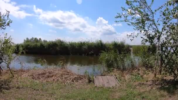 美妙的自然,美丽的自然背景。风景如画的夏季风景与河岸。萨马拉河, 乌克兰 — 图库视频影像