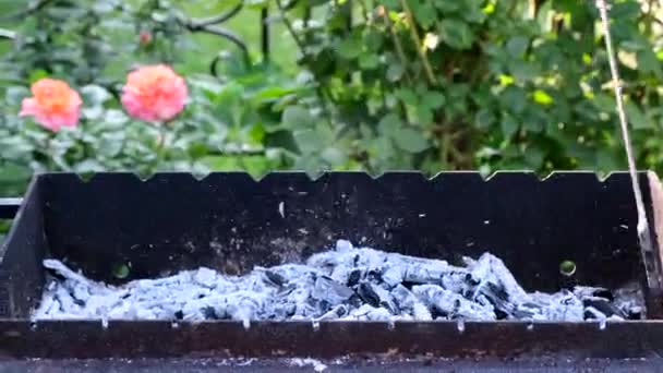 Garfish. La mano de los hombres da la vuelta a los peces en la rejilla de la barbacoa. Estilo de vida. Belone abajo en una parrilla. Asar. Cocinar pescado asado en el fuego abierto. Barbacoa, exterior — Vídeos de Stock