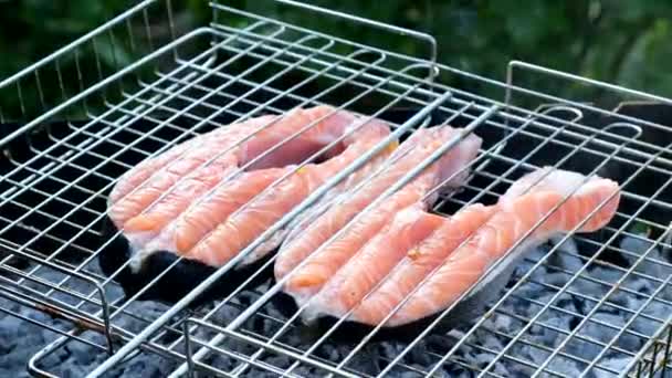 Pescado rojo salmón en una parrilla. Asar filetes de trucha. Cocinar pescado asado en el fuego abierto. Barbacoa, exterior — Vídeo de stock