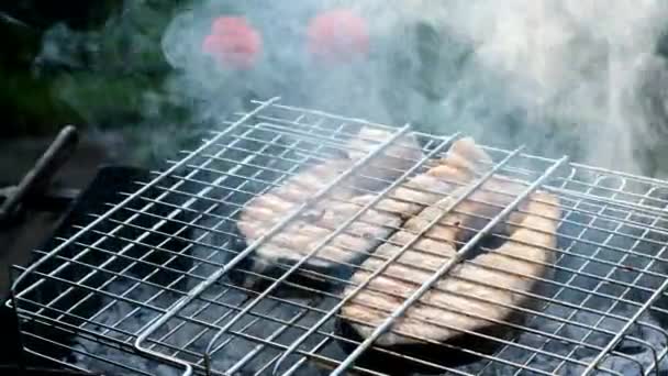 Lachsroter Fisch auf einem Grill. Forellensteaks grillen. Kochen von gebratenem Fisch am offenen Feuer. Grill, draußen — Stockvideo