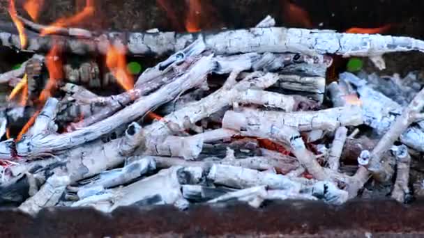 Voorbereiding voor het koken van barbecue buiten, zomer. Koken, warmte en barbecue concept. Brandhout branden in Vuurkorf — Stockvideo